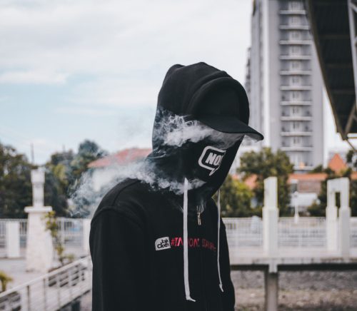 wild-vibez-321721-unsplash